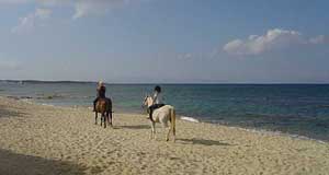 Summerland HorseBack